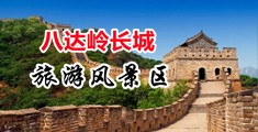 插入肥逼中国北京-八达岭长城旅游风景区