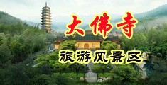 东北黄片儿操逼1069中国浙江-新昌大佛寺旅游风景区